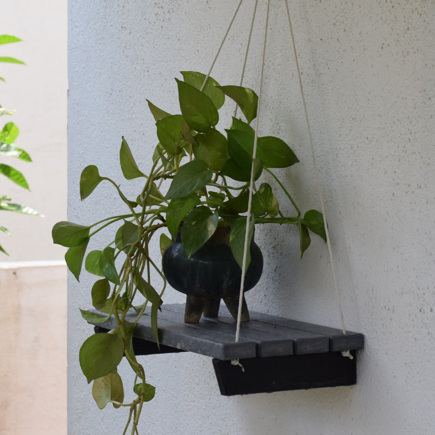 Eco Wall Hanging Shelf