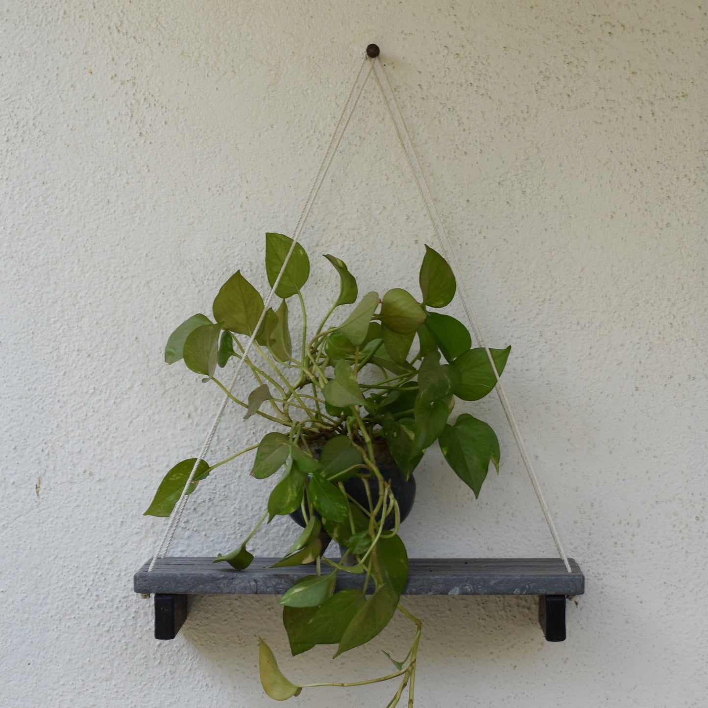 Eco Wall Hanging Shelf