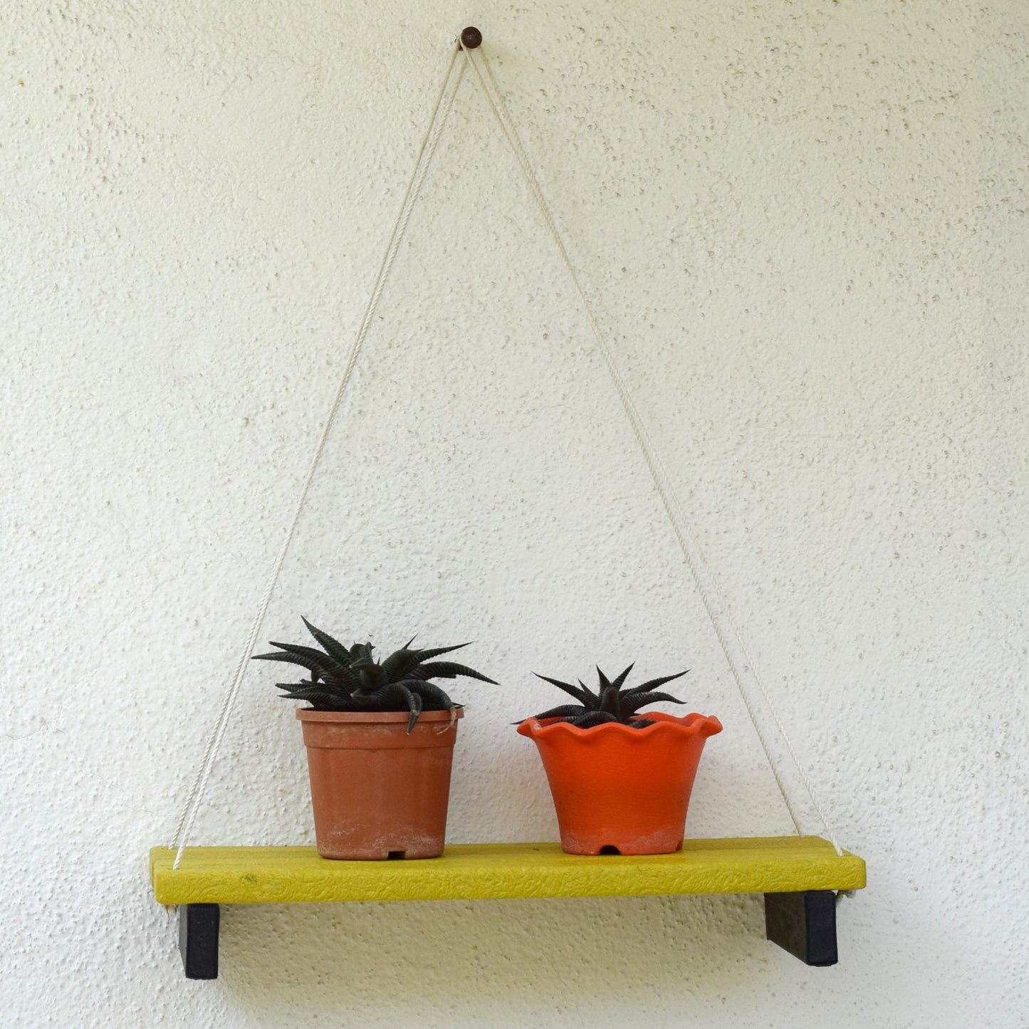 Eco Wall Hanging Shelf