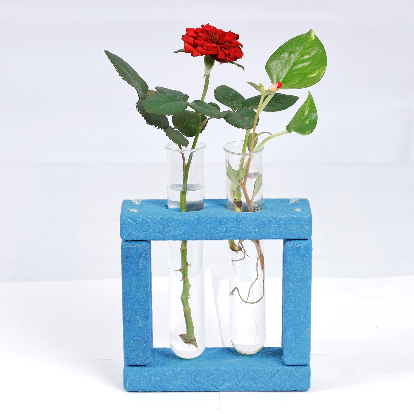 Eco Test tube Planter Square Shape