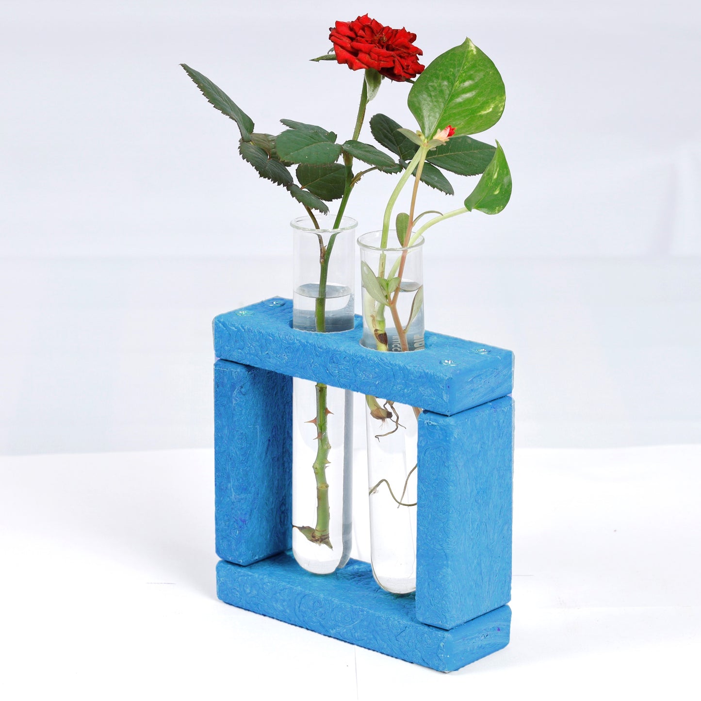 Eco Test tube Planter Square Shape