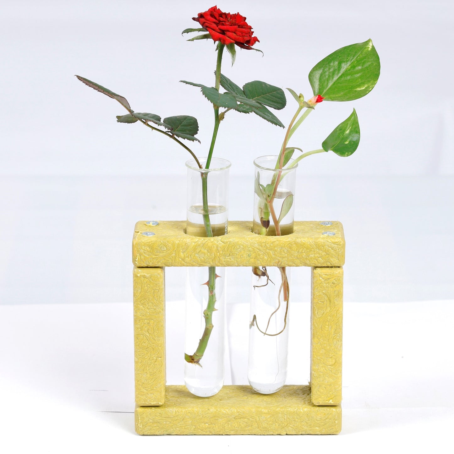 Eco Test tube Planter Square Shape