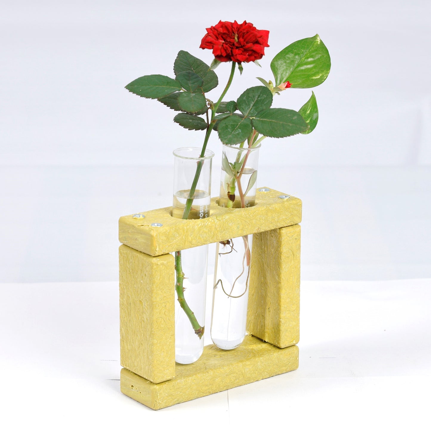 Eco Test tube Planter Square Shape