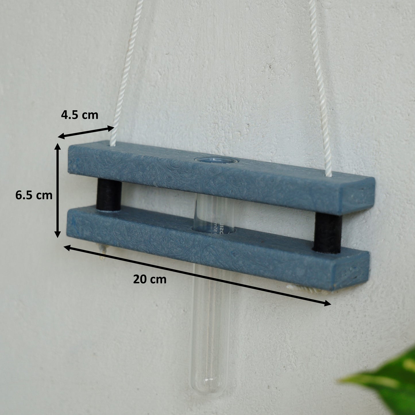 Eco Test tube Wall Hanging Planter