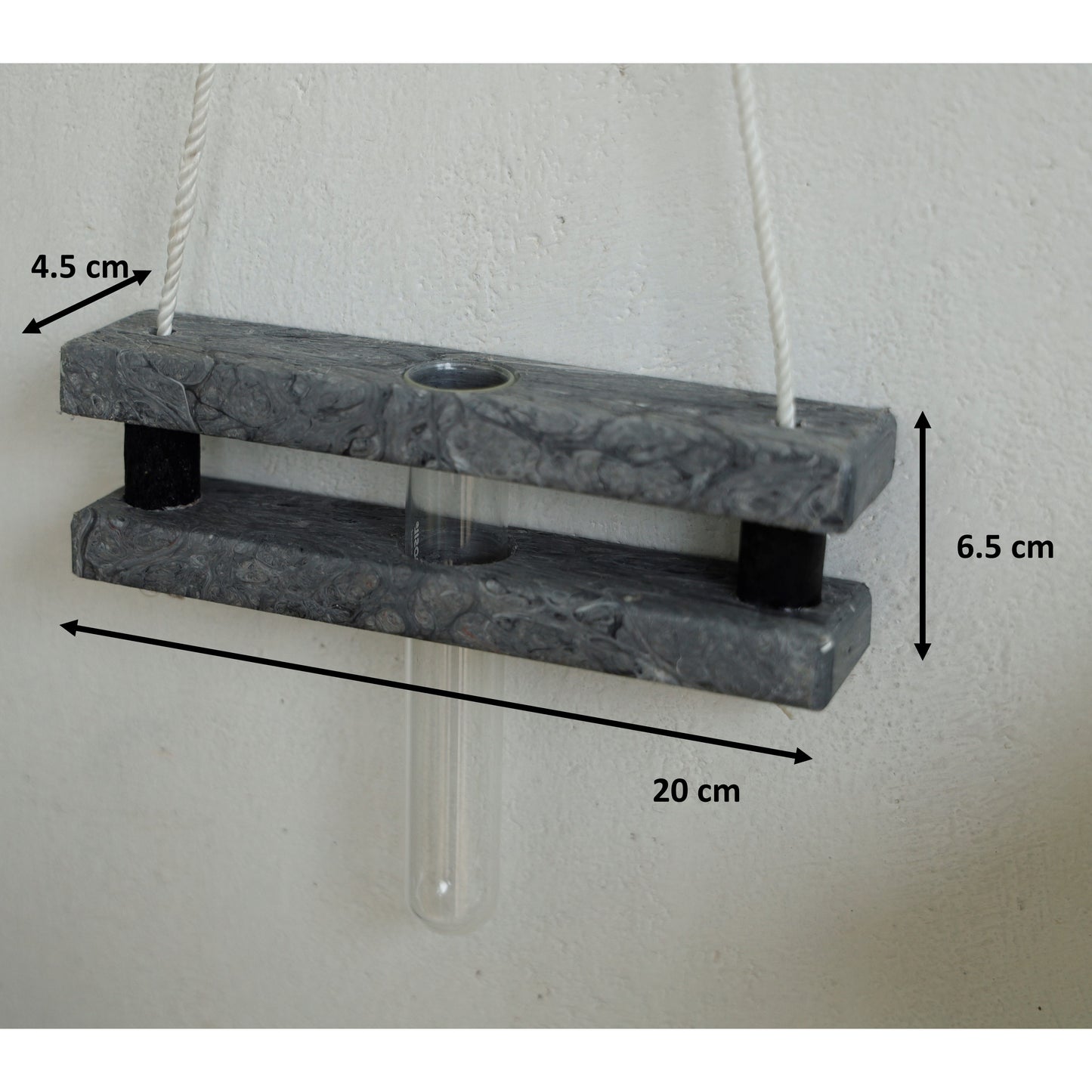 Eco Test tube Wall Hanging Planter