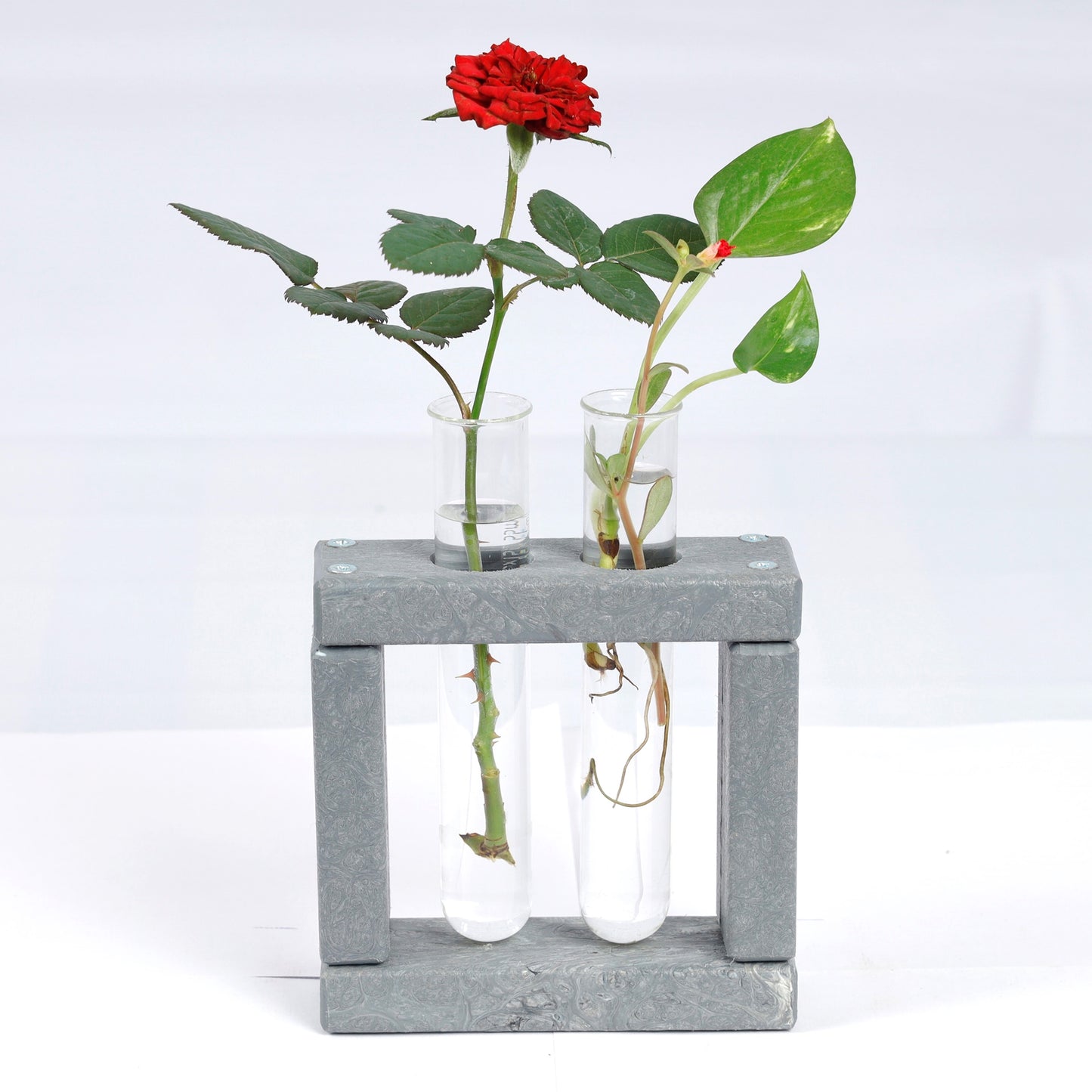 Eco Test tube Planter Square Shape