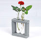 Eco Test tube Planter Square Shape