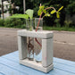 Eco Test tube Planter Square Shape