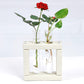 Eco Test tube Planter Square Shape