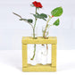 Eco Test tube Planter Square Shape