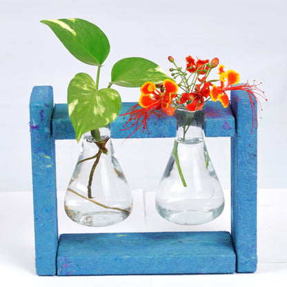 Eco Flask Planter - Broad