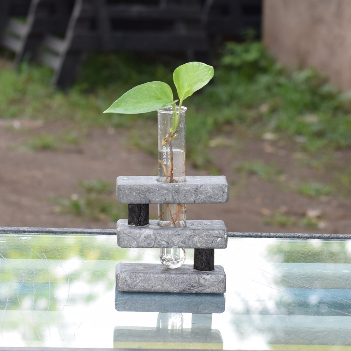 Eco Test tube Planter "S" Shape
