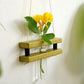 Eco Test tube Wall Hanging Planter