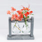 Eco Flask Planter - Lean