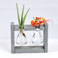 Eco Flask Planter - Broad