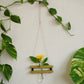 Eco Test tube Wall Hanging Planter