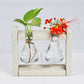 Eco Flask Planter - Broad