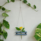 Eco Test tube Wall Hanging Planter