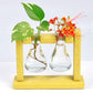 Eco Flask Planter - Lean