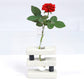 Eco Test tube Planter "S" Shape