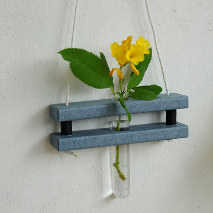 Eco Test tube Wall Hanging Planter