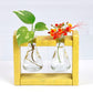Eco Flask Planter - Broad