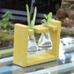 Eco Flask Planter - Broad