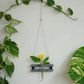 Eco Test tube Wall Hanging Planter
