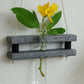Eco Test tube Wall Hanging Planter