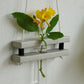Eco Test tube Wall Hanging Planter